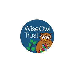 Chair at Briscoe Lane Academy Wise Owl Trust