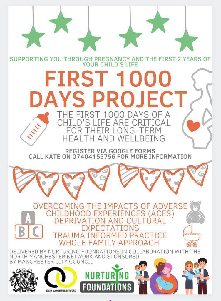 First 1000 Days Project flyer